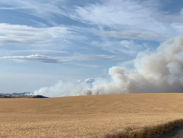 williams flats fire